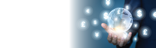 Fees and Charges for Convenient & rewarding remittance Services